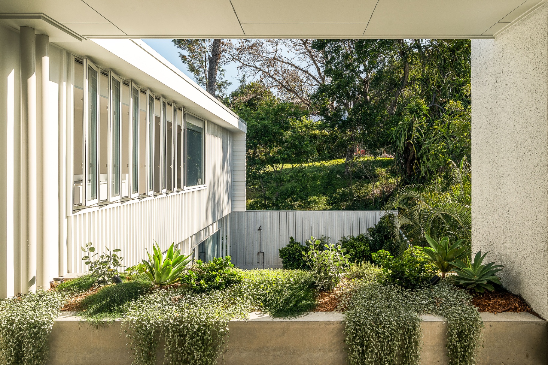 63 Chermside Street photo 14