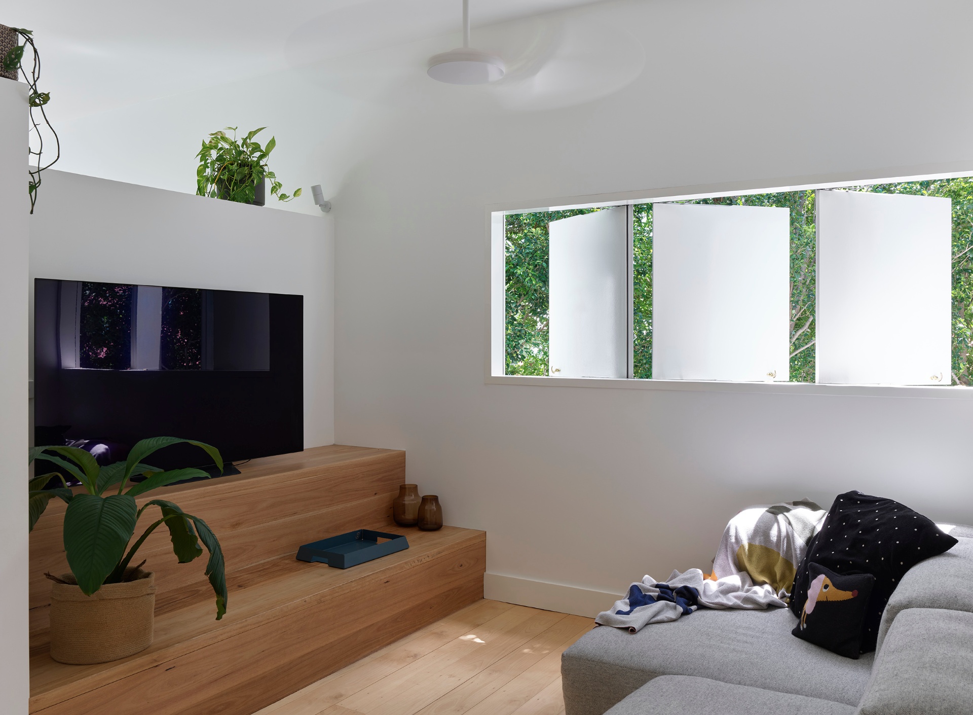 23 Deramore Street photo 6